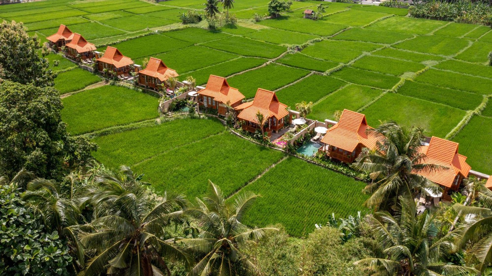 The Kalyana Ubud Resort エクステリア 写真
